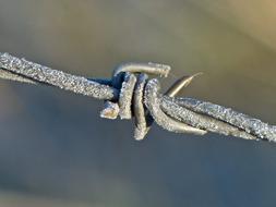 Metal Barb Wire Close-Up on a blurred background