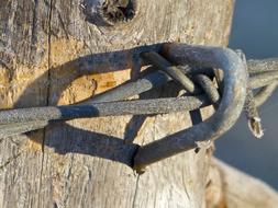 Metal Barb Wire on a wooden mount Close-Up