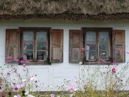 Thatched Roof Cottage Village