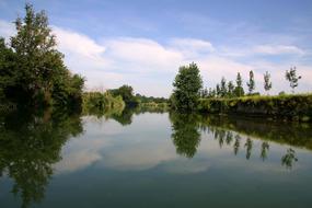 Reflections Trees on River