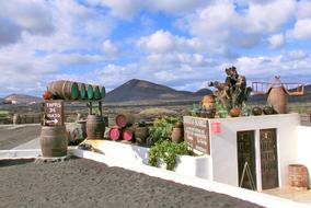 Beautiful and colorful landscape with the barrels and buildings near the mountains, in Lanzarote, La Geria