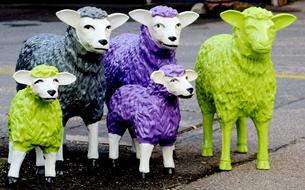 statuettes of sheep of different colors on the street