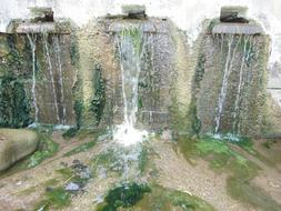 Beautiful waterfall in the wall in sunlight and green plants