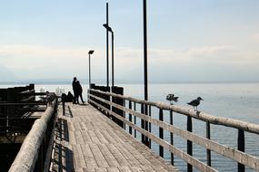 Jetty Web Kaai pier