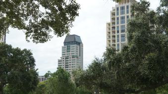 modern skyscrapers among green trees in St. Petersburg