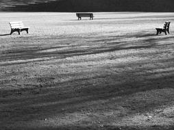 Black And white photo of Bank Benches in Park