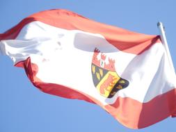 Reinickendorf Flag in the wind