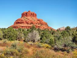 Beautiful and colorful landscape of the Bell Rock with plants, in Sedona, Arizona, USA, under the blue sky