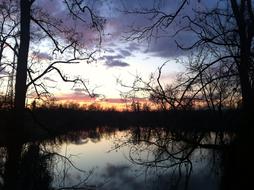 River and Trees at sunset