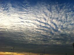 bright stratocumulus Clouds in evening sky