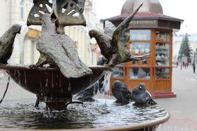 doves on the fountain close up