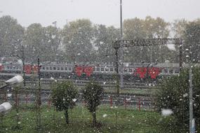 The First Snow at Railway