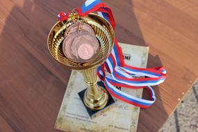 medals in gold cup close-up