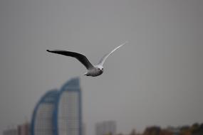 White figure flying at dark background with buildings