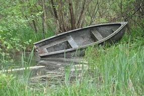 old wooden Boat on Lakeshore at summer
