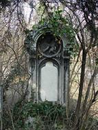 Grave at the cemetery of St Marx in Austria, among the plants