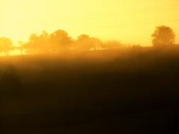 yellow morning fog on the horizon