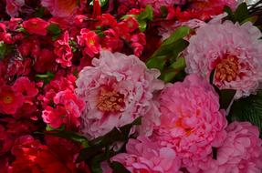 Paper Flowers Market Red