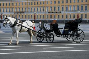 carriage with a white horse on the palace square