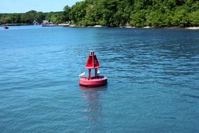 seagull on Buoy Island Float