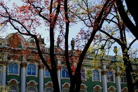 Trees Green Rust Winter Palace