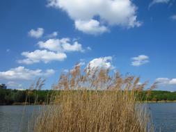 Reed Pond Clouds
