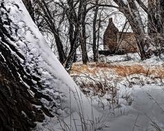 Robert Strauss Cabin Fort Collins