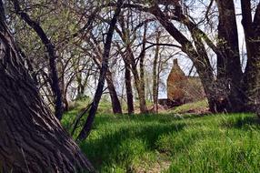 Cabin Fort Collins