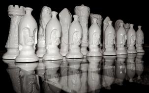 Black and white Chess Game