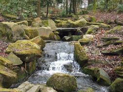 stones, moss, water cascade