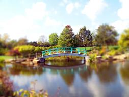 Fall Autumn pond bridge