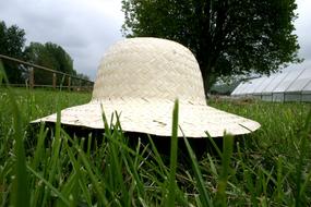 Hat Straw on green grass close up