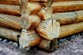 Corner of the log cabin made of the colorful and beautiful wood