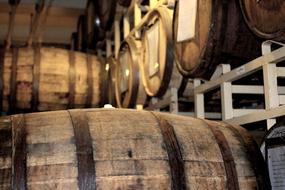 Oak Barrels with Whisky in Cellar
