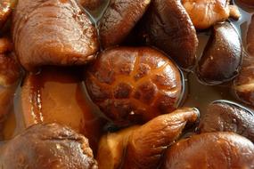 Dried Soaking Mushrooms