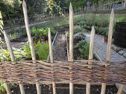 Fence Builders Herb Garden