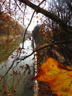 River Leaves Autumn