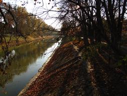 shadows from autumn trees by the river