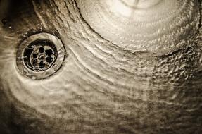 water drain in a sink