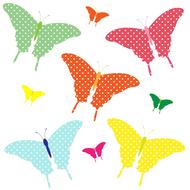 Colorful and beautiful butterflies with patterns, at white background, clipart