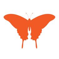 butterfly orange art