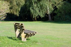 Beautiful landscape with the wooden bench on the green meadow, among the trees, in the park