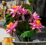 pink Flowers Lotus decoration