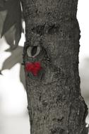 Tree Leaf Red