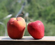 Apples Red Beautiful