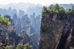 Beautiful landscape of the mountains with plants in Zhangjiajie, China