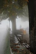 Beautiful landscape of the colorful park in fog, in Groznjan, Croatia