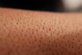 Close-up of the person's arm with hair