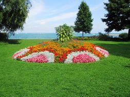Flower Island and Lake Constance