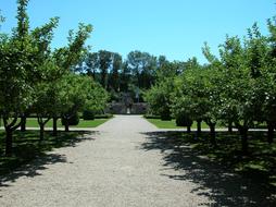 Garden Castle Schalaburg